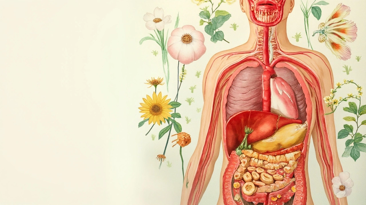 What the Future Holds for Natural Antibiotics